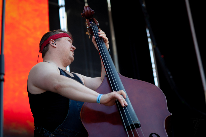 Steve`n`Seagulls